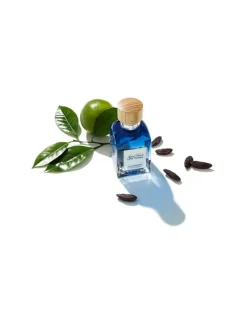 Agua Fresca Lima Tonka | Adolfo Domínguez