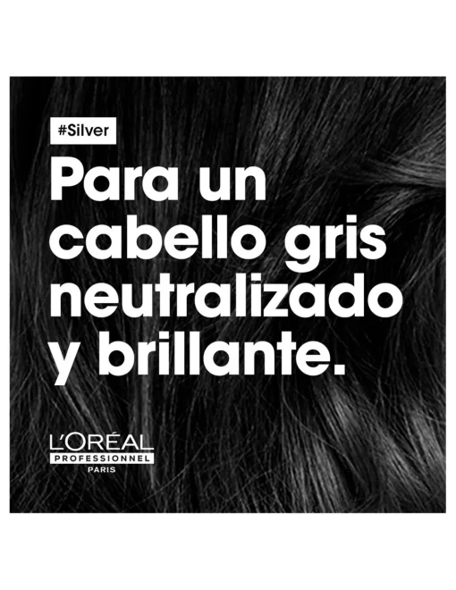 Champú Silver | L'Oreal