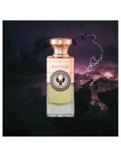 Jupiter | ELECTIMUSS