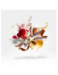 Louis XV 1722 | Perfumes Nicho