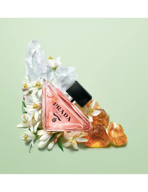 Paradoxe | Prada