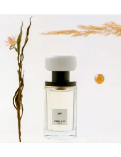 Perfumerías Coqueteo | 28° grados