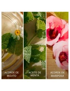 Perfumerías Coqueteo | Brisa Cubana