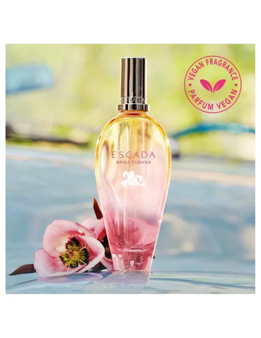 Perfumerías Coqueteo | Brisa Cubana