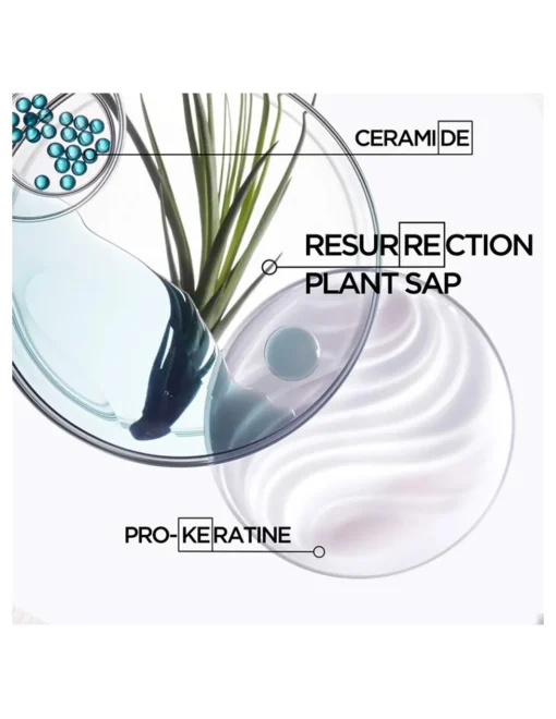 Perfumerías Coqueteo | Champú Bain Force Architecte recarga Kerastase