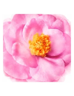 Perfumerías Coqueteo | Hair Prodigieux Acondicionador Brillo Sublime NUXE