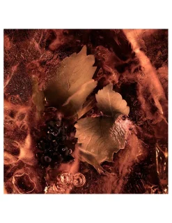 Perfumerías Coqueteo | Les Roches Noires