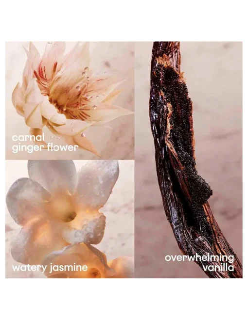 Perfumerías Coqueteo | Olympéa