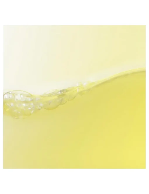 Perfumerías Coqueteo | Shiseido Waso Yuzu-C Glow-On Shot