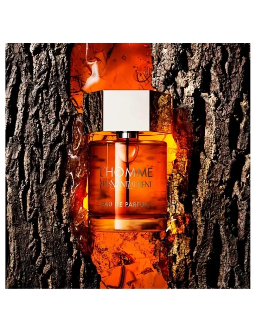 Perfumerías Coqueteo | Yves Saint Laurent L'Homme Intense EDP