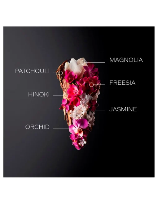 Perfumerías Coqueteo | Estuche Ginza EDP Shiseido