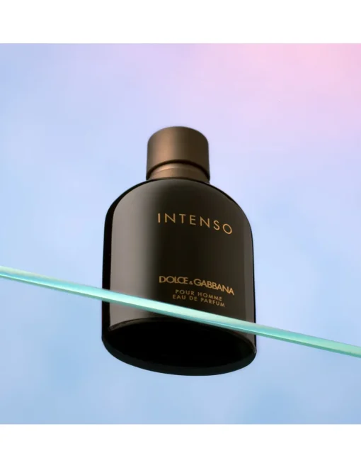 Perfumerias Coqueteo | Dolce&Gabbana Pour Homme Intense
