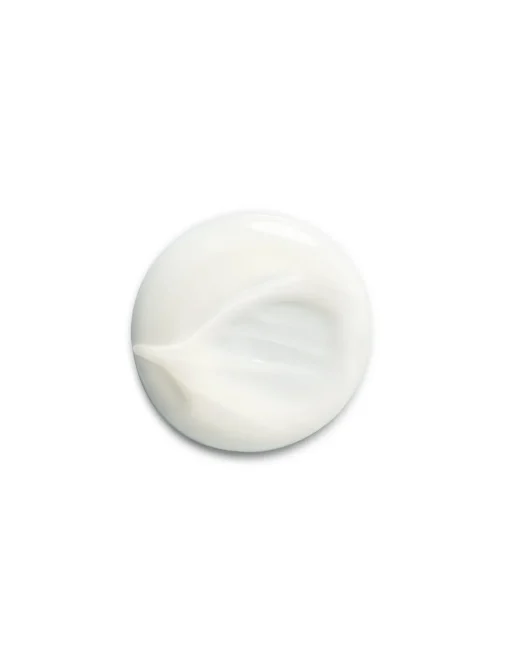 Restorative Shampoo | Shu Uemura