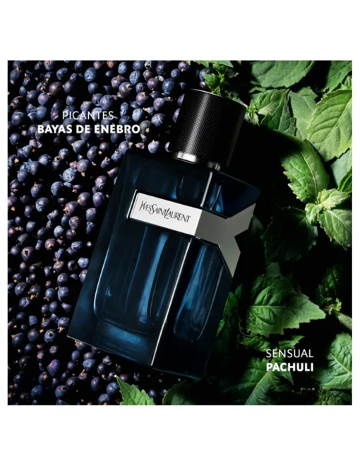 Y Eau de Parfum Intense